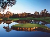 The famous 17th at the Stadium Course, TPC Sawgrass