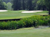 Irises beautify a hazard that bisects the 15th fairway at Willbrook