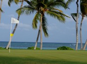 Swaying palms and tropical breezes: the 7th green at La Cana