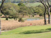 The downhill, par-three second at Papagayo: 103 yards to a tiny green.