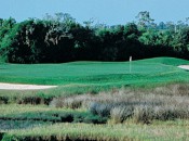 Charleston National CC