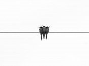 glen-carrie-_oNISBwMTwo-unsplash
