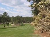 Mid Pines Golf Club puts players in the dogwoods and pines for a classic, period feel similar to Augusta National Golf Club.