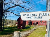 Connemara Goat Farm
