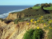 Torrey Pines North offers spectacular views