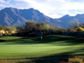 McDowell Mountain Ranch: easy on the eyes and the wallet