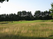 Native grasses provide a lovely contrast to verdant fairways and greens