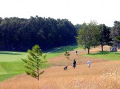 Muskegon CC's amber waves of fescue