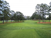 The Eisenhower tree used to guard the left side of 17th fairway