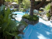 Soaking pools at Two Bunch Palms.