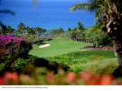 Wailea?  Why Not!? (Emerald Course, #1)