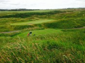 Royal Aberdeen's stark beauty stands out.