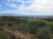 Arizona National fairways cut through Sonoran desert