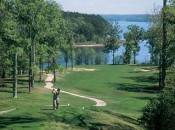 Cypress Bend NO. 10