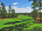 Welcome! The Dormie Club's opening hole is a beauty.