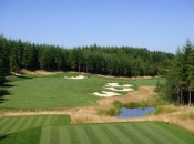 Every hole at Salsih Cliffs is isolated by thick forests and laid out as eye candy.