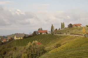 Südsteiermark