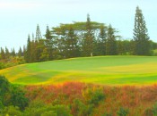 One of the stunning views on the Plantation Course at the Kapalua Resort