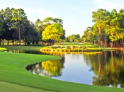 Copperhead course on the Innisbrook Resort