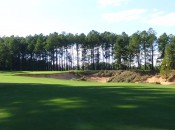 12th Hole at Tobacco Road