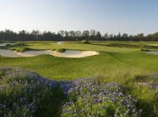 Monarch Dunes Challenge Course