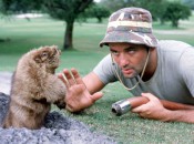 caddyshack