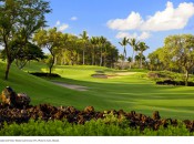 The fifth hole at Wailea Gold